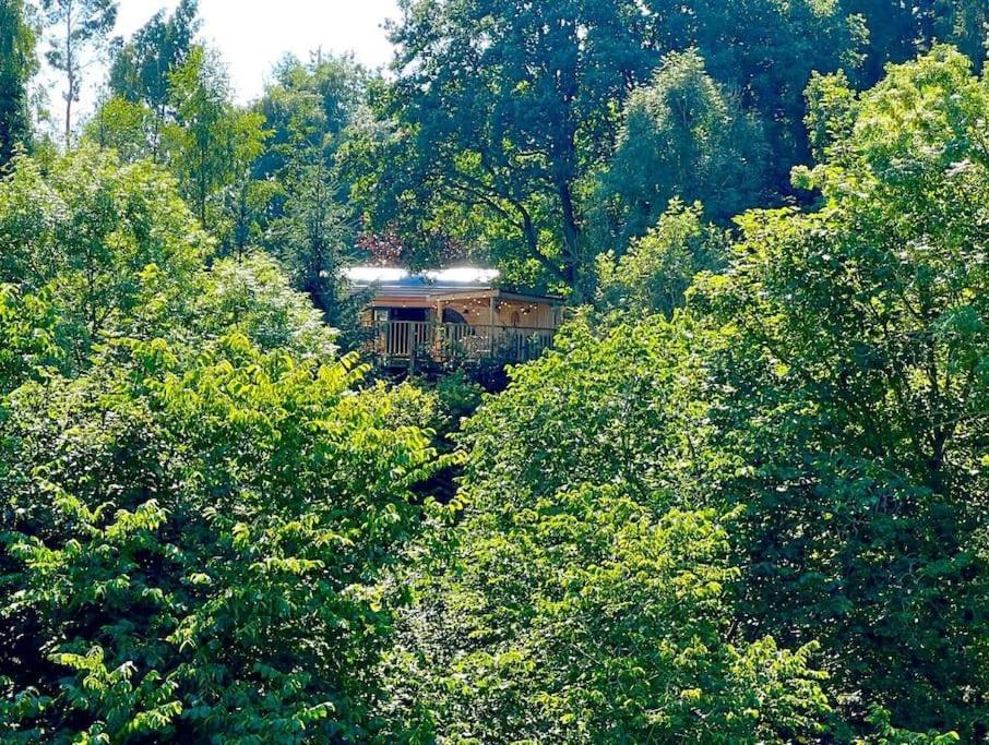 The Pines Treehouse At Treetops Hideouts ริชมอนด์ ภายนอก รูปภาพ